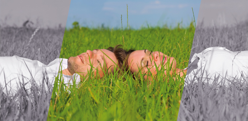 Paar liegt im Gras, Kopf an Kopf